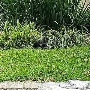 Meet your Posher, Veronica